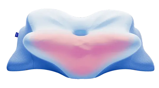 Derila Ergo Pillow Official Buy Online